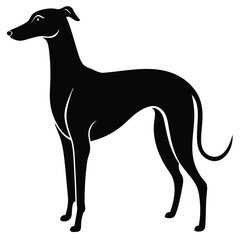 whippet vector