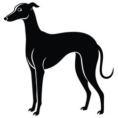 whippet vector