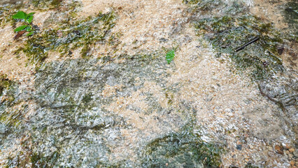 Clear stream water flowing over rocks, natural creek background