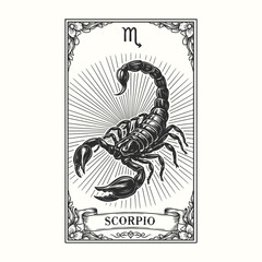 Scorpio Zodiac Sign Illustration, Black and White Scorpion Astrology Art, Mystic Horoscope Design