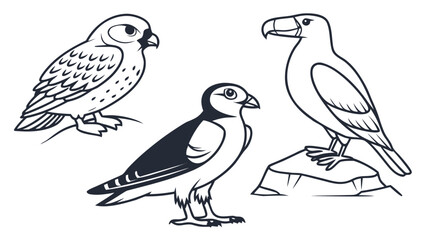 Obraz premium vector illustration of a set of birds