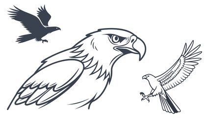 Obraz premium eagle vector illustration