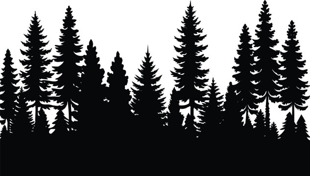 Evergreen forest tree silhouettes on white backgroun