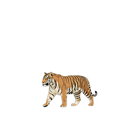 Obraz premium Pixel Art of a Tiger Walking with Orange and Black Stripes on a White Background