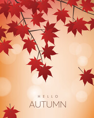 Autumn Sale Banner with maple leaves. Vector illustration	