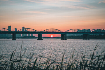한강 시민 공원 석양