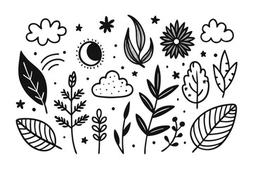 Elegant hand-drawn botanical elements, perfect for branding, design projects, and adding a touch of nature's beauty to any creative concept, ideal for commercial use