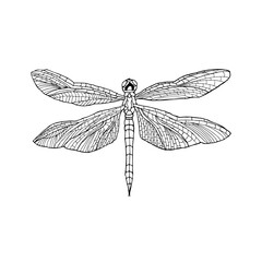 トンボの線画(黒)のイラスト素材 © Toharu.m (ver.CS6)