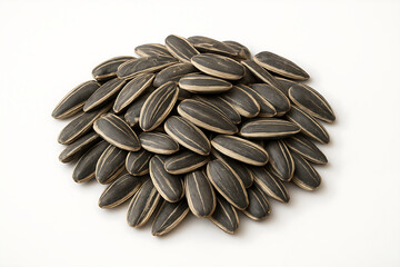 pine cone isolated on white