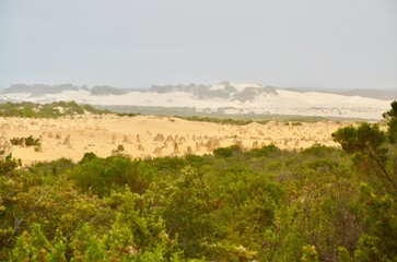The Pinnacle Desert is located in Nambung NP, Western Australia, a desert with striking, irrgular  limestone fornations created over time through erosion with sand dune in the background