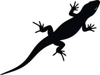 Fototapeta premium Black silhouette of a lizard viewed from above on a white background.