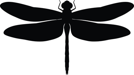 Silhouette of a dragonfly with detailed wings, isolated on a white background.