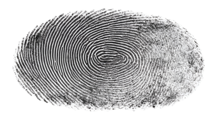 Detailed Fingerprint Impression on a Transparent Background for Security and Identification Designs