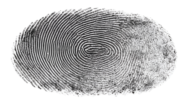 Detailed Fingerprint Impression on a Transparent Background for Security and Identification Designs