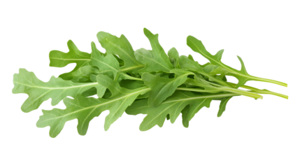 Fresh Arugula Bunch on Transparent Backdrop, Perfect for Salad Ingredients and Healthy Eating Concepts