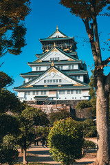 Fototapeta premium 大阪城