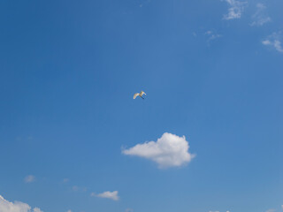 Fototapeta premium 大空を飛ぶダイサギ