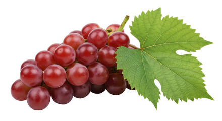 Fototapeta premium Isolated Bunch of Red Grapes with Leaf on White Background