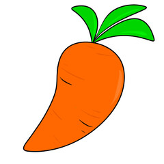 Flat Design Illustration of carrot 