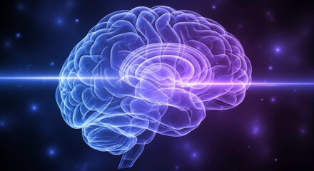 Obraz premium Brain Power: Neural Networks and Cognitive Function