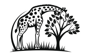 Obraz premium Giraffe with Foliage and Sparkling Star on White Background
