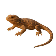 Fototapeta premium Lizard Resting on Sandy Ground in Desert Environment