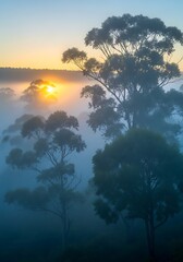Golden Sunrise Through Misty Forest Canopy.