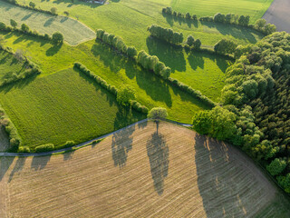 Aerial view of landscape pattern in Switzerland. Fields and hedges in canton of Fribourg in Sense district. Warm sun light in the evening.