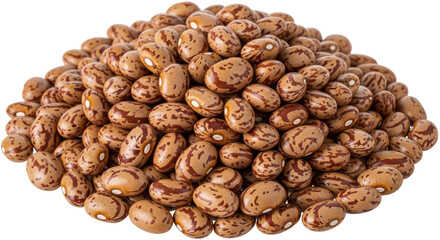 Isolated Pile of Pinto Beans