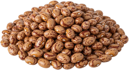 Isolated Pile of Pinto Beans