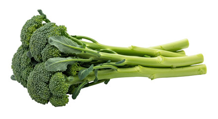 Isolated Long Stem Broccoli © Stefan
