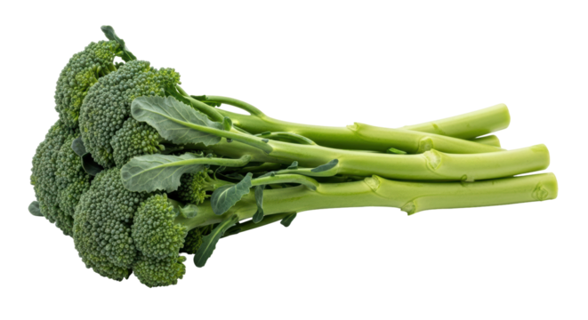 Isolated Long Stem Broccoli