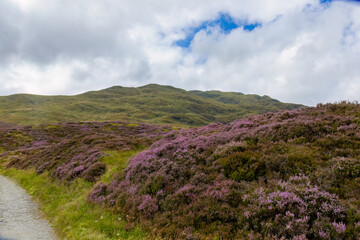 Meall nan Tarmachan, a Munro in the Ben Lawyers range of mountains