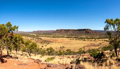 Panoramic desert vista