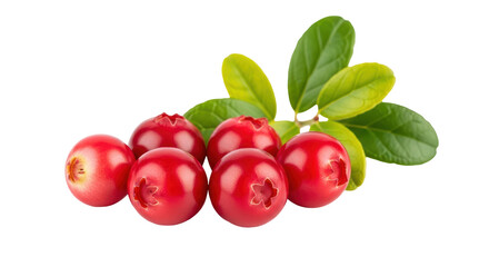 Isolated Cranberries with Leaves