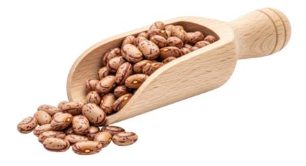 Isolated Pinto Beans in Wooden Spoon