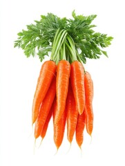 Bunch of fresh carrots with green leaves