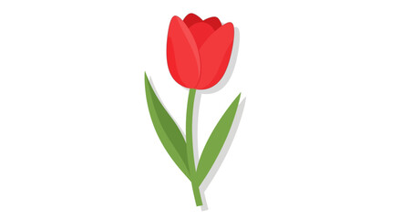 Stylized botanical illustration featuring a single vibrant red tulip with minimalist design elements representing springtime beauty and floral