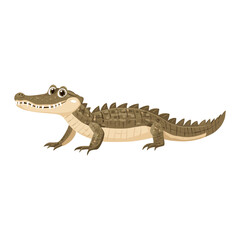 Fototapeta premium Vector illustration of American Alligator children's crocodile alligator vector