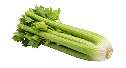 Isolated Bunch of Celery