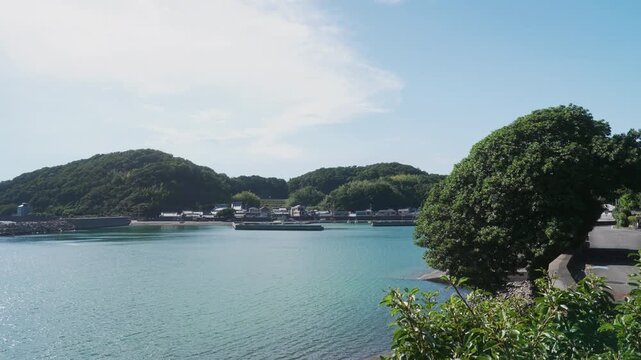 比井の赤榕(アコウ)の木　和歌山県日高町 Ancient Akou Tree of Hii &ndash; Hidaka Town, Wakayama, Japan