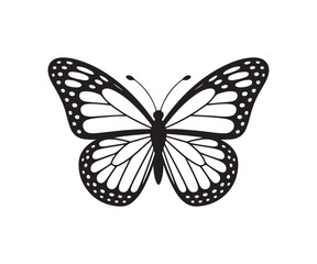 Big butterfly icon, butterfly silhouette, butterfly sticker,  vector illustration EPS 10.