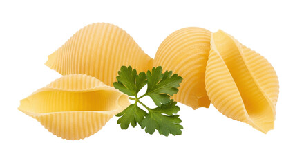 Isolated Pasta Shells with Parsley