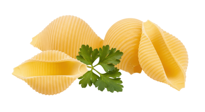 Isolated Pasta Shells with Parsley