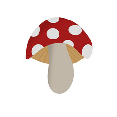 mushroom on white background