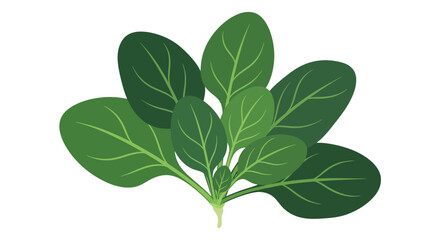 Obraz premium Illustration of Fresh Spinach Leaves, Rich in Nutrients, Perfect for Salad Preparation and Healthy Meal Components, Isolated Against a Pristine