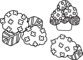 紫陽花のアウトライン白黒線画イラストセット