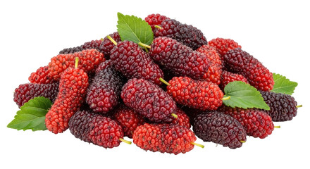 Isolated Pile of Fresh Mulberries