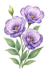 Watercolor illustration of purple lisianthus (eustoma) flowers with green leaves on white background. Hand-painted botanical artwork ideal for greeting cards, wedding invitations, textile prints,