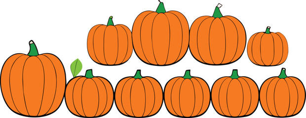A Collection of Vibrant Orange Pumpkins with Green Stems and Leaves on a White Background